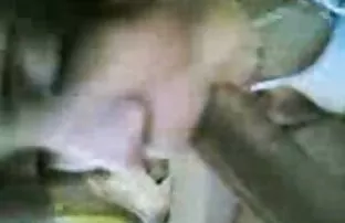 XXX نقله إلى أعضاء الحق في مقاطع سكسي ولد الحمار
