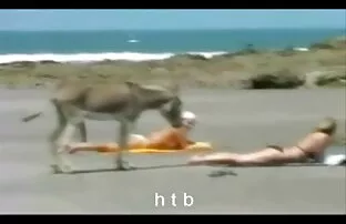 XXX سكارليت فاي و زوي فوس الجنس مثلية مقاطع رقص سكسي مذهلة