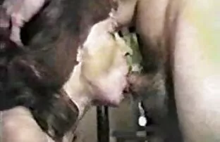 XXX فقط مقاطع سكسي بنات الإباحية لا يصدق