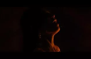 XXX وجه الفتيات مقطع فيديو سكس حيوانات الصغيرات