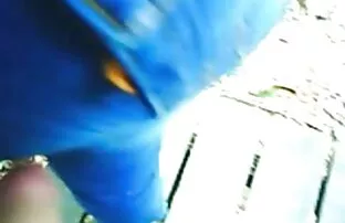 XXX اثنين من احدث مقاطع سكسي الرجال البيض من الصعب يحدق في الآسيوية
